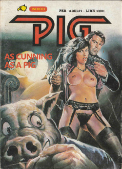 PIG #24 "AS CUNNING AS A PIG" - ENGLISH