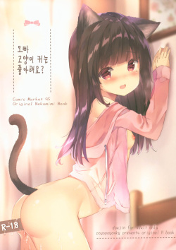 Onii-chan Nekomimi wa Osuki desu ka? | 오빠 고양이 귀는 좋아해요?