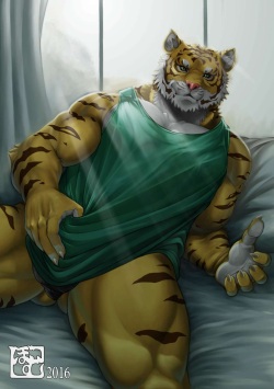 Tiger image pack